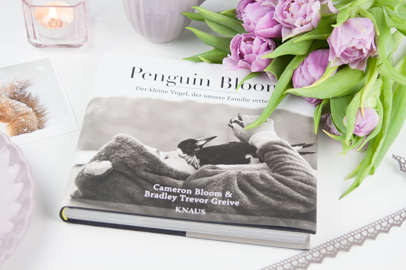 Penguin Bloom Buchempfehlung