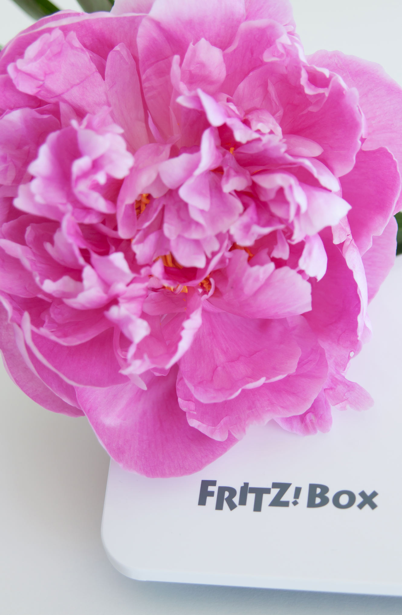 Fritz Box weiß Interior Blog